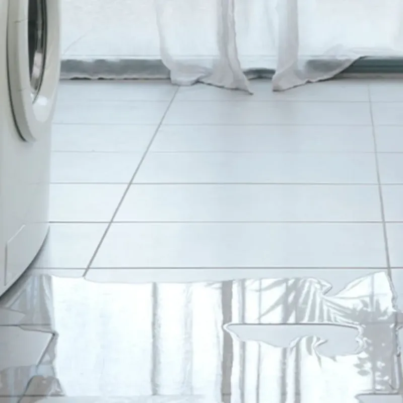 Appliance Leak Cleanup in Jefferson County, WA