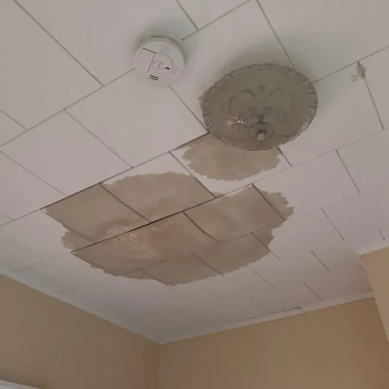 Ceiling Water Damage Repair in Jefferson County, WA