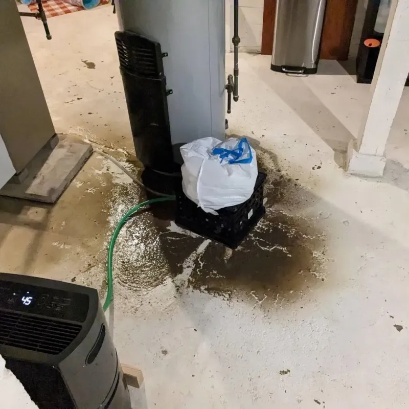 Sewage Backup Cleanup Service in Jefferson County, WA